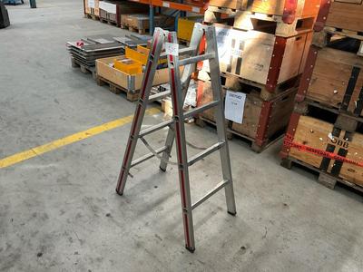 Overview picture of double rung ladder