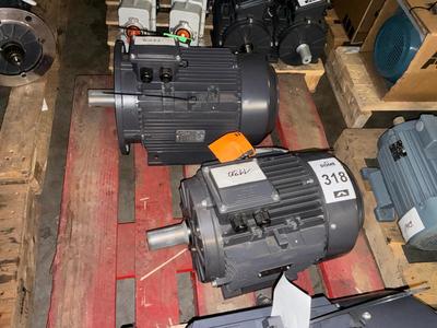 Overzichtsfoto van Echtop Elektromotor (2x)