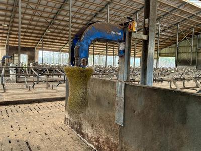 Översiktsbild av DeLaval Swinging Cow Brush 3 Cow-borste