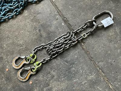 Overzichtsfoto van 2-sprong hijsketting (5,4T)