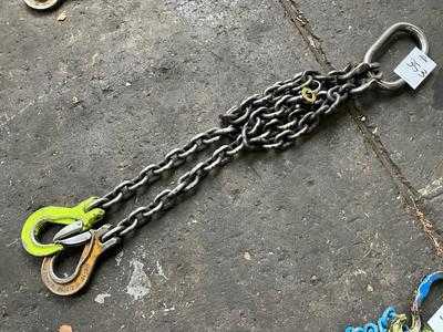 Overzichtsfoto van 2-sprong hijsketting (5,4T)