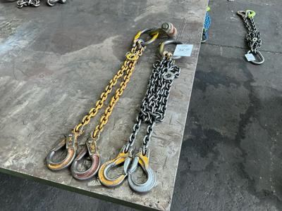 Overzichtsfoto van 2-sprong hijsketting (1,5T) (2x)