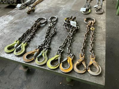 Overzichtsfoto van 2-sprong hijsketting (4x)