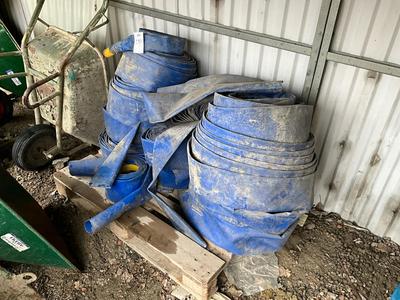 Overzichtsfoto van slangen