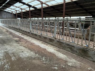 Overzichtsfoto van Voerhekken met vastzetfunctie (9x)