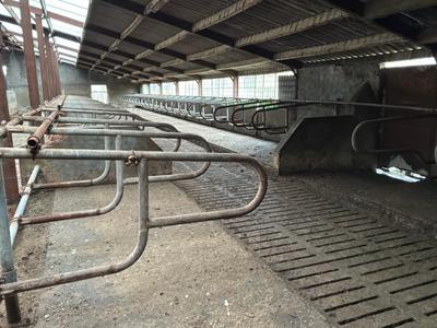 Overzichtsfoto van Ligboxen