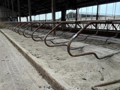 Imagen general de Cubículos