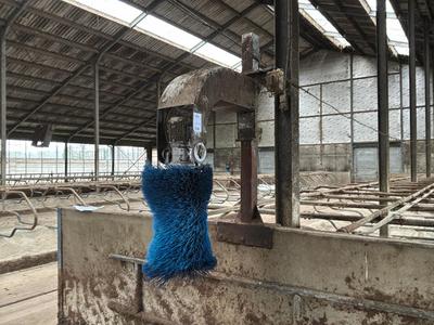 Imagen general de Cepillo para vacas Delaval