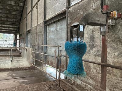 Imagen general de Cepillo para vacas Delaval (2x)