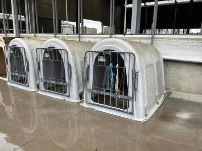 Imagen general de Sotralentz Calverhut (3x)