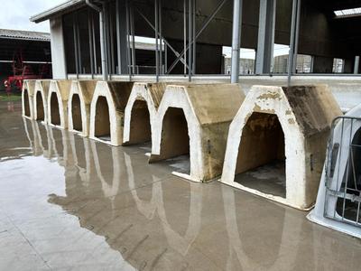 Imagen general de Cabaña para terneros (8x)