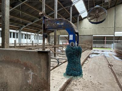 Overzichtsfoto van Delaval Koeborstel (2x)