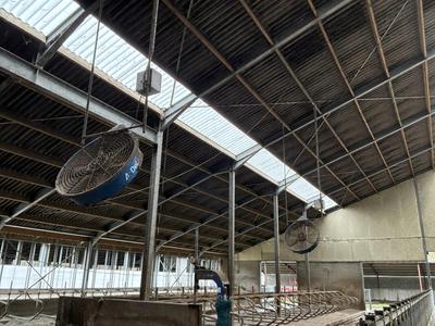 Immagine panoramica di Ventilatore Delaval (3x)
