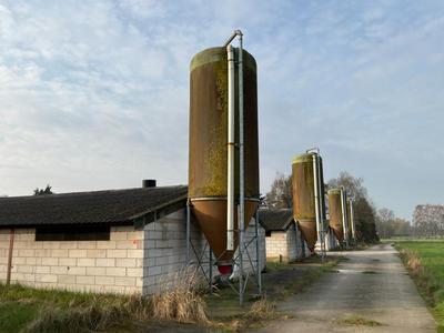 Overzichtsfoto van Deva Voedersilo