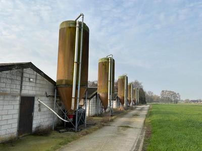 Overzichtsfoto van Deva Voedersilo