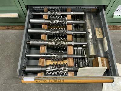 Übersichtsbild von Schneckenradfräser