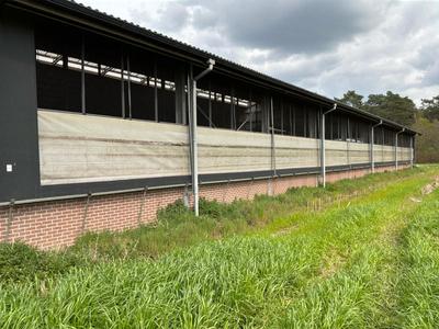 Overzichtsfoto van Windbreekzeil