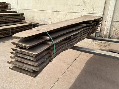 Overview picture of Sawn tree trunk