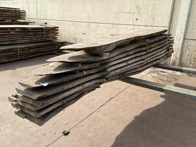 Overview picture of Sawn tree trunk