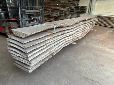 Overview picture of Sawn tree trunk Elm