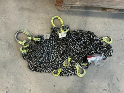 Overzichtsfoto van hoisting chain (2x)