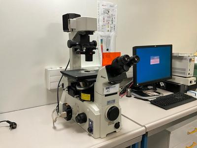 Diapositiva 2