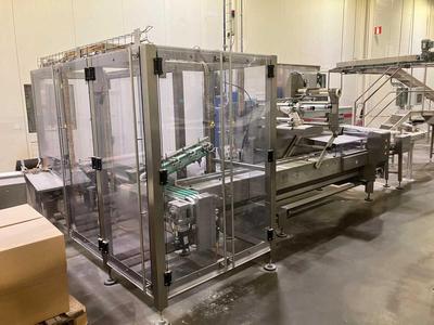 Overview picture of 2017 RECORD PANDA Flow Pack Wrapper – Model 12X C13