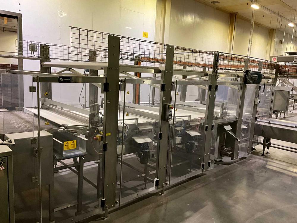 Belt Conveyor System (Food Grade)