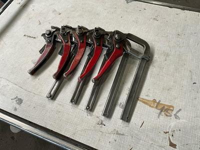Overzichtsfoto van Bessey klem (5x)