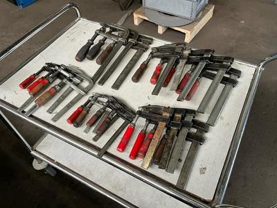 Overview picture of clamp (20x)