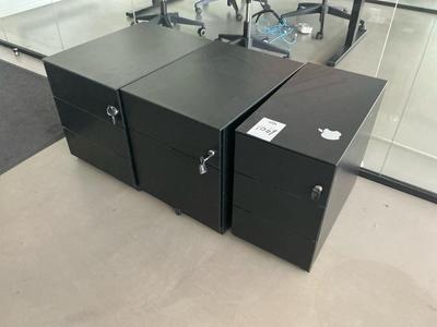 Overview picture of Office cabinet (3x)